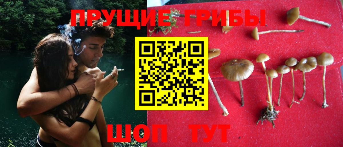 Галлюциногенные грибы GOLDEN TEACHER Павловский Посад